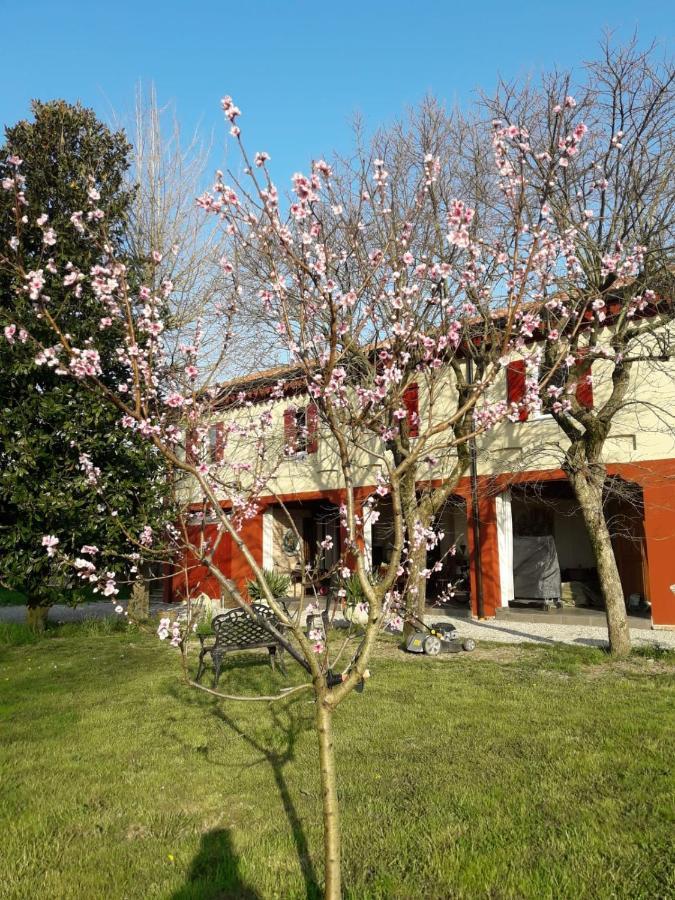 Tenuta Crescentini-Vallemura ,Appartamenti Con Entrata Indipendente San Donà di Piave Exterior foto