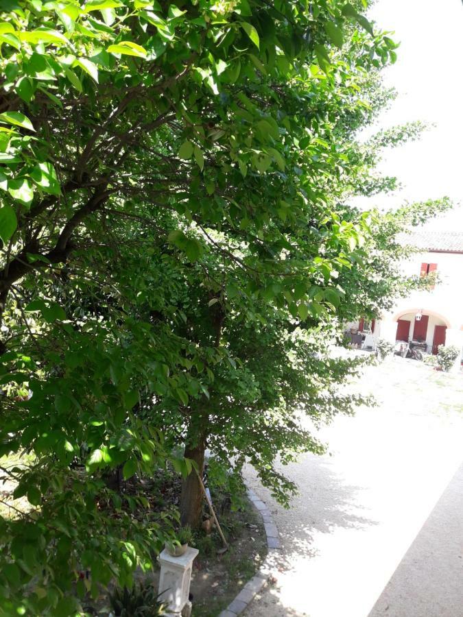 Tenuta Crescentini-Vallemura ,Appartamenti Con Entrata Indipendente San Donà di Piave Exterior foto
