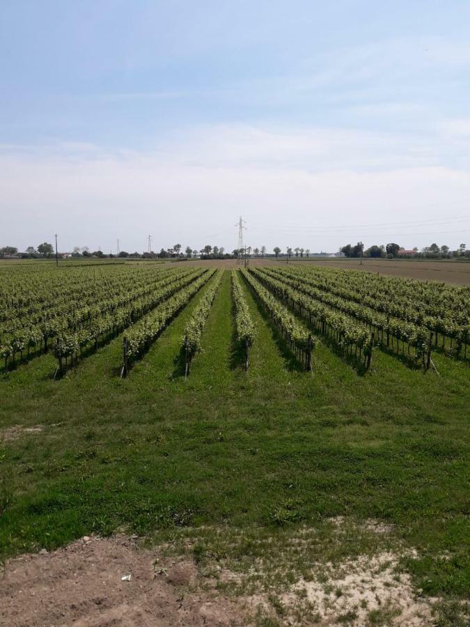 Tenuta Crescentini-Vallemura ,Appartamenti Con Entrata Indipendente San Donà di Piave Exterior foto
