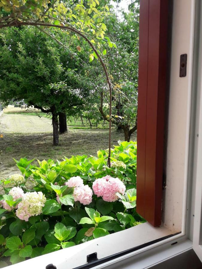 Tenuta Crescentini-Vallemura ,Appartamenti Con Entrata Indipendente San Donà di Piave Exterior foto